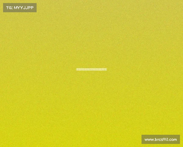 网球赛事全景解析：盘点全球顶级网球锦标赛